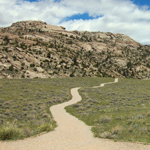 A dirt path leading to tree covered rock formations through the sagebrush at Martin's Cove, Wyoming