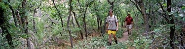 Hikers in White Canyon
