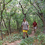 Take a Hike!