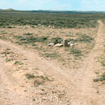 Parting of the Ways in Wyoming