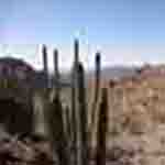 View of valley with organ pipe in foreground