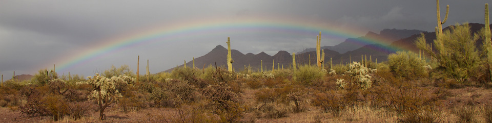 Rainbow over Organ Pipe Cactus NM