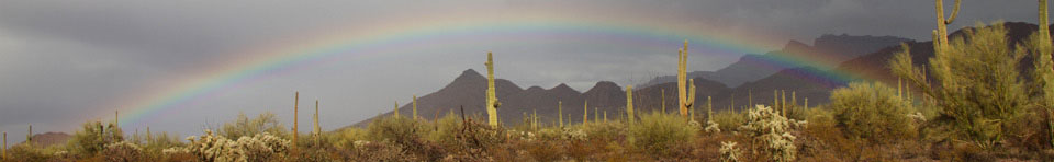 Rainbow over Organ Pipe Cactus NM