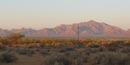 A view of Organ Pipe Cactus National Monument A view of Organ Pipe Cactus National Monument