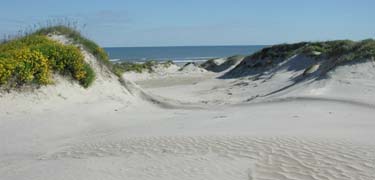 PAIS_dunes-3