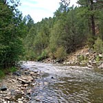 fly fishing