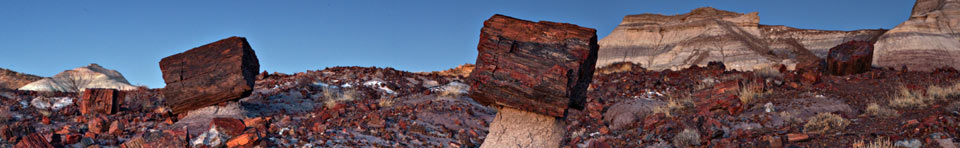 Jasper Forest is magical in twilight, particularly the logs on stone pedestals