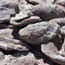 Fossils