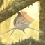 Triassic Period