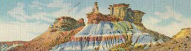 Petrified Forest antique postcard