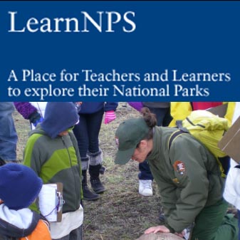Learn NPS