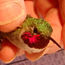 Broad-tailed Hummingbird