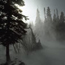 Wind-whipped Snow