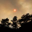 Fern Lake Fire Photos