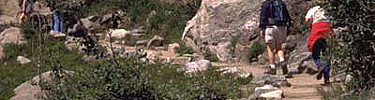 A photo of visitors on a flat section of trail that is lined with rocks.