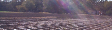 Flooding the fields
