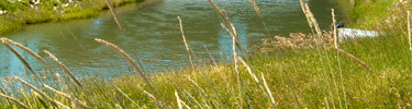 Water quality is monitored throughout the park