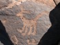 DT-Rock Art Deer