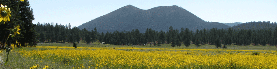 Sunset Crater Volcano National Monument