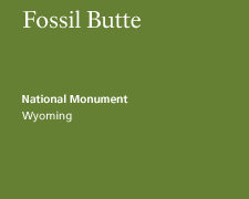 Fossil Butte National Monument