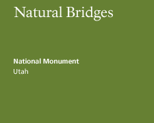 Natural Bridges National Monument