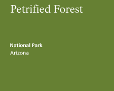 Petrified Forest National Park