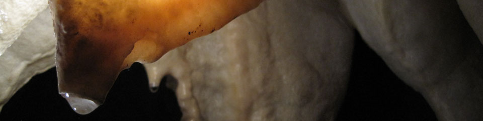 A water drop clings onto the edge of a orange stalactite, surrounded by white stalactites.