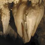 Close-up picture of the Great Heart, a large stalactite formed from several that joined together.