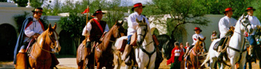 Presidial Soldiers