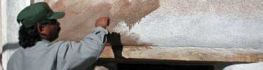 Preservation of Windows