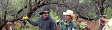 Mexican vaqueros (cowboys) at the Planchas de Plata