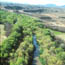 Santa Cruz River