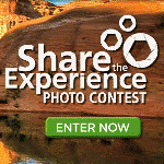 Share logo