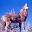 Read about mammals of the Colorado Plateau