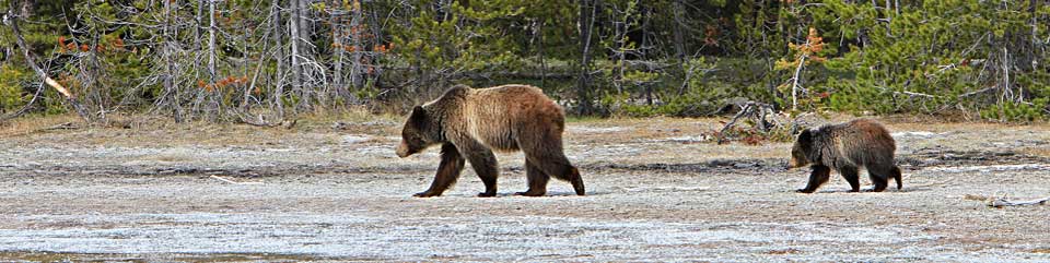 Discover Our National Parks