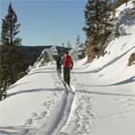 Visitors cross country skiing