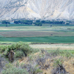 View of archeological site with farms in the background.
