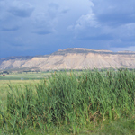 View of spring at Yucca House.