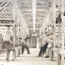 Civilian Conservation Corps