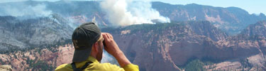 Langston Fire