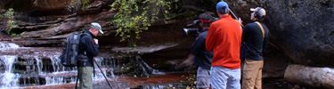 Commercial Filming in Zion