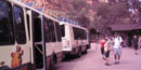 Zion Shuttle Zion Shuttle