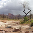 Zion Weather