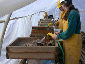 Photo of Soil screening reveals 18th century artifacts