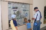 Visitors looking at IVC exhibit case