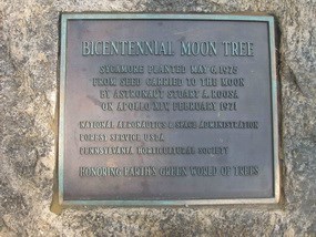 Moon Tree Plaque