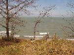 Stairs on Lake front