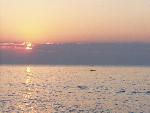 Sunset 2