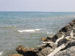 Rocky Shore