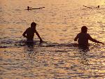 Swimmers